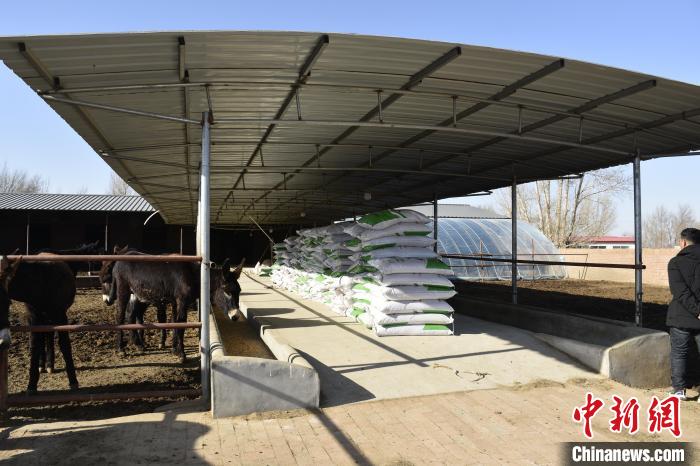 ʮ@ÿһܶ㡿ɹš¿ġޣë¿С