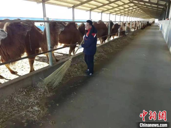 ͼΪ��ҵ������������ա������� ��