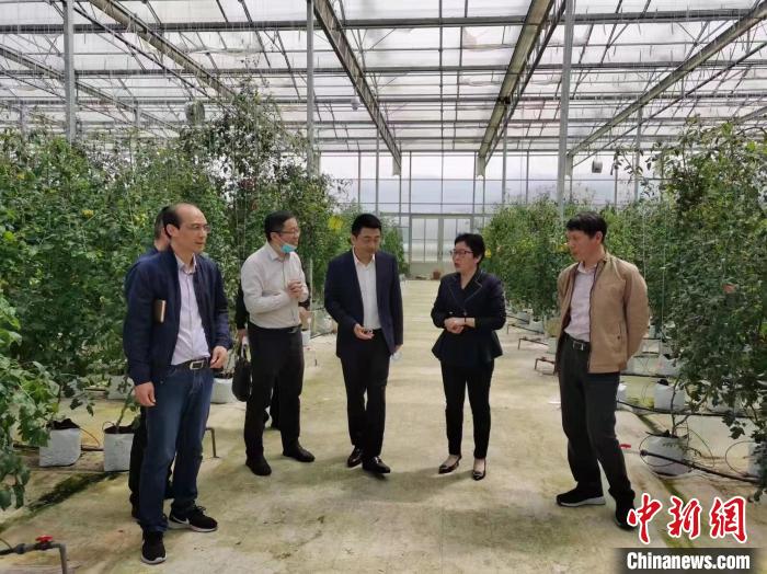 ���þ���ʵ�������������������ࡣ���ܷ��߹�ͼ