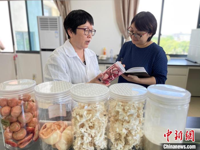 �������߲˿��������������(��)���ܲɷá����Ϸ� ��