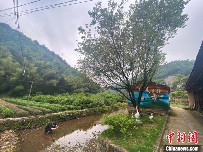 ��ˮ��ɽ��ǽ������ ��ݼ ��