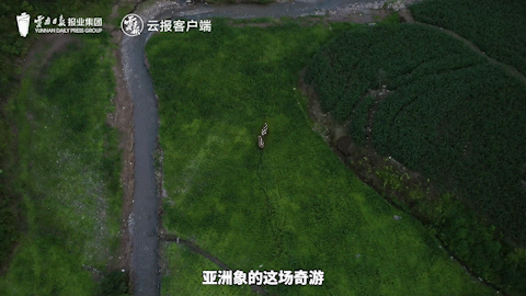 23.gif