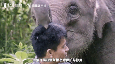 10.gif