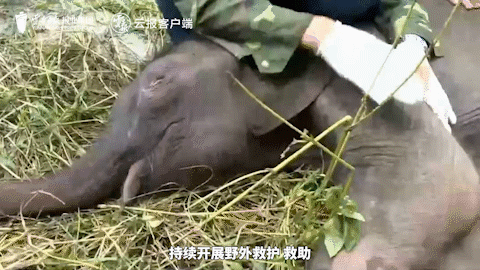 28.gif