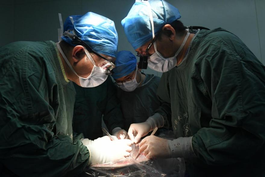 ������ֲ�����С�������