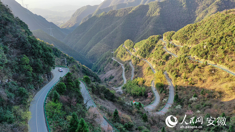 ϴοԼϵһҪ·˵εķչ ſ