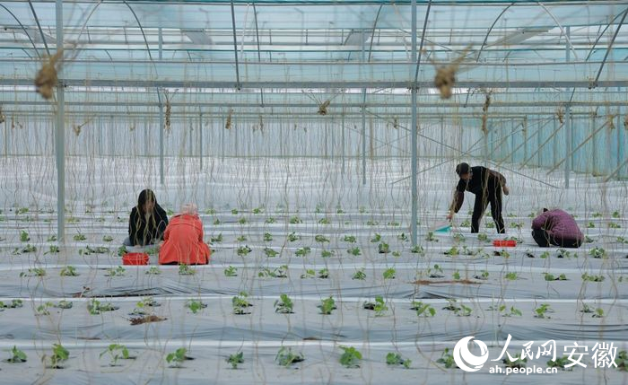 ׯǻũҵҵ԰ڣԱڽлƹ 