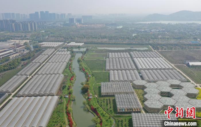 图为:航拍灵粮农场的农作物大棚。 王刚 摄