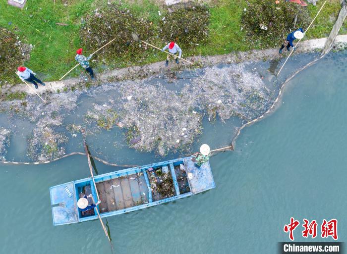 遇到水面垃圾较多的时候,队员们会用自制的渔网来清理。 高博 摄