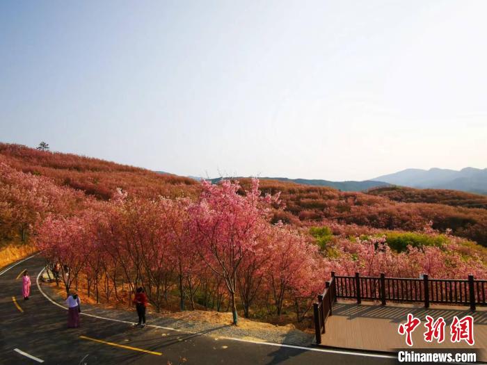 ͼΪ����ͨ��ǧĶӣ�����ţ�εΪ׳�ۡ����׳��� ��