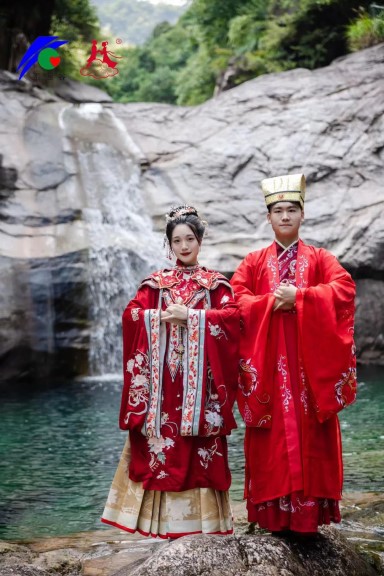 e11defb09c5854750b9a8ed1f1ed1a2