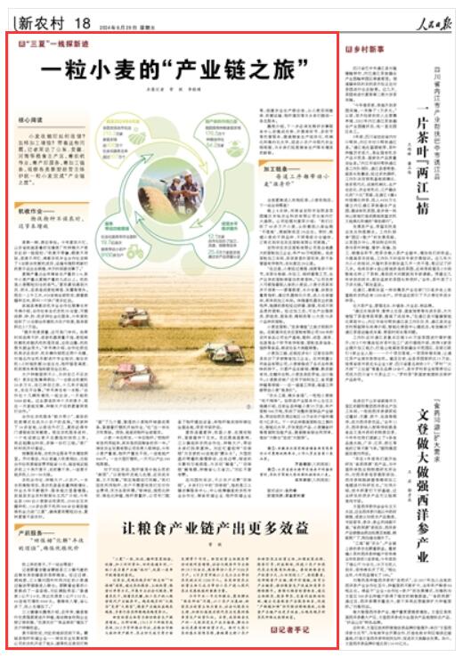  ձ  20240628    18 棩
