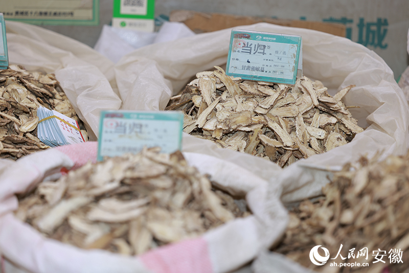 ���顣���������� ��������