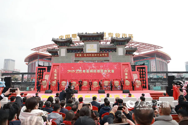 2025������ҩ�п��С����������� ��������