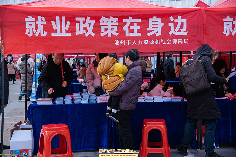 2025������С������ж�����Ƹ���ֳ�������������ֹ�ͼ