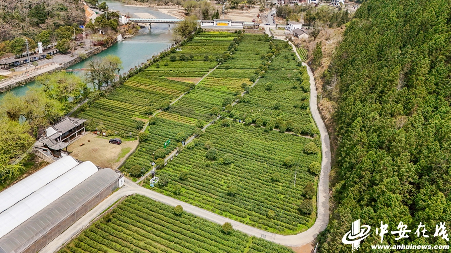 dji_fly_20250331_120514.jpg