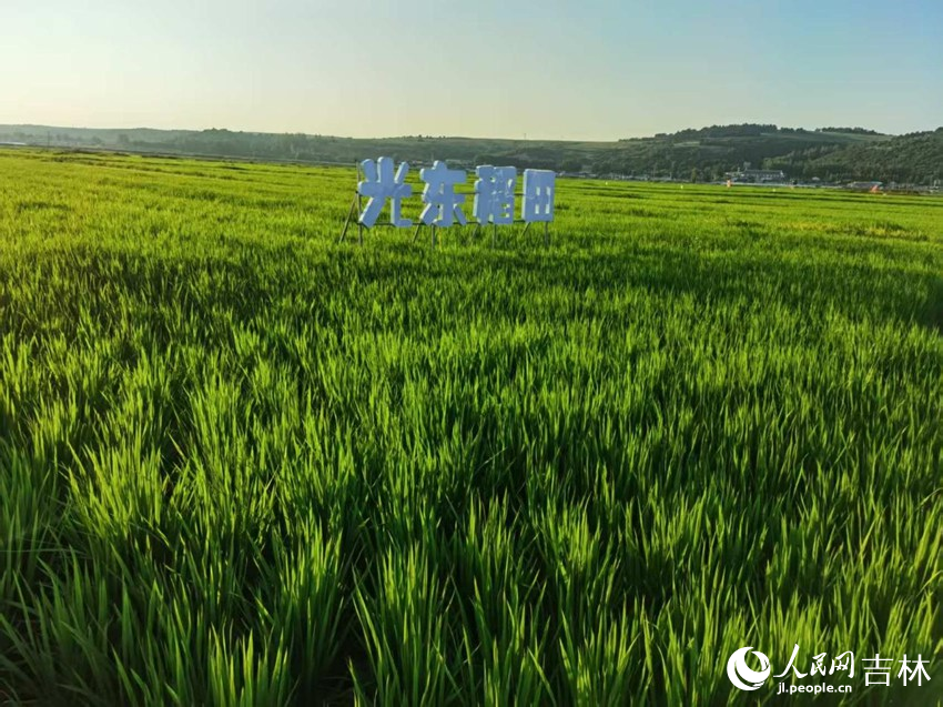 ⶫ嵾羰续ͼƬ Ծ