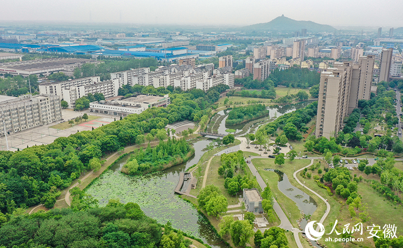 俯瞰芦塘生态公园。人民网记者 张俊摄