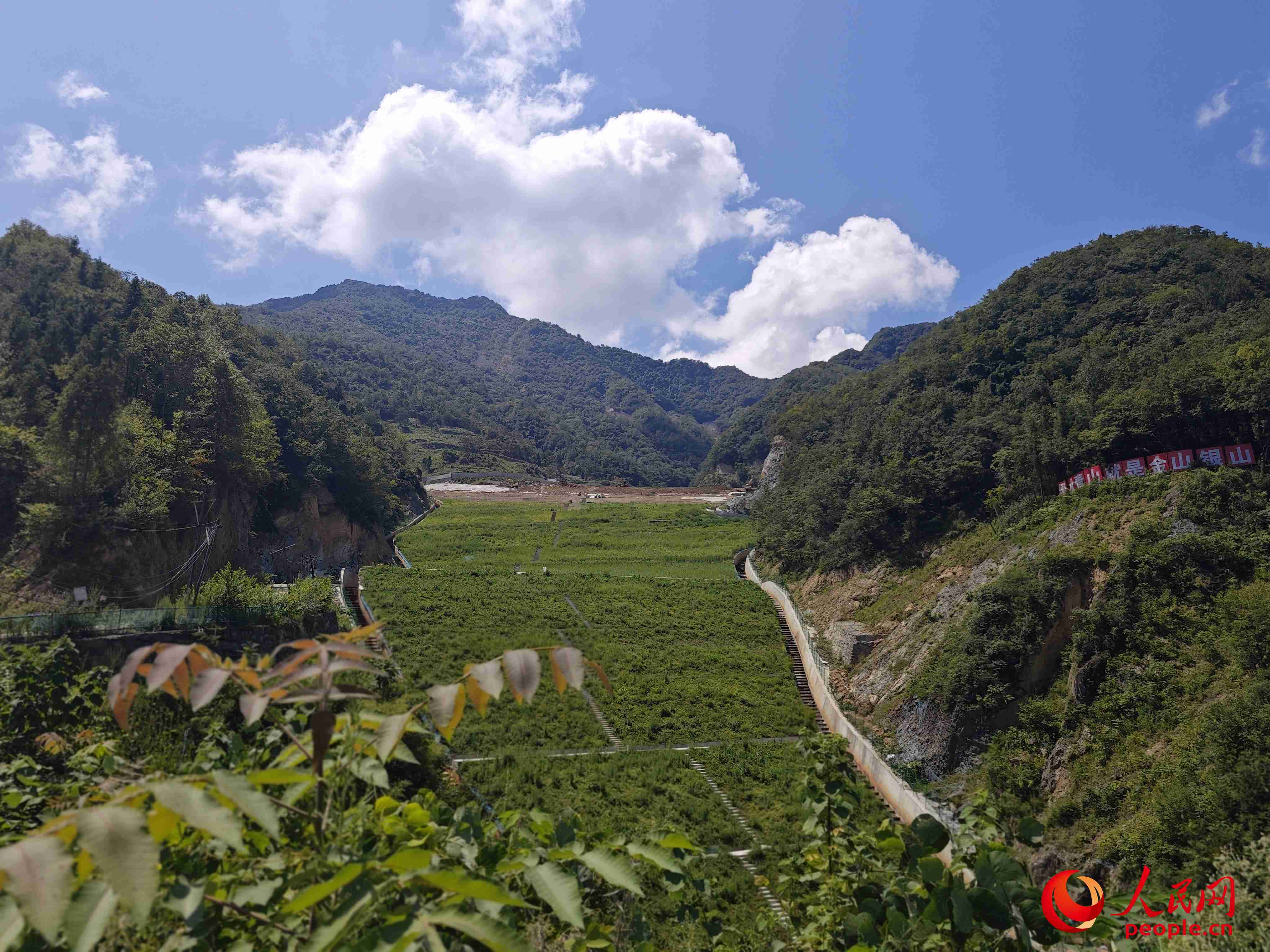 �Ѳ��ָ��̵����泡������������ ������