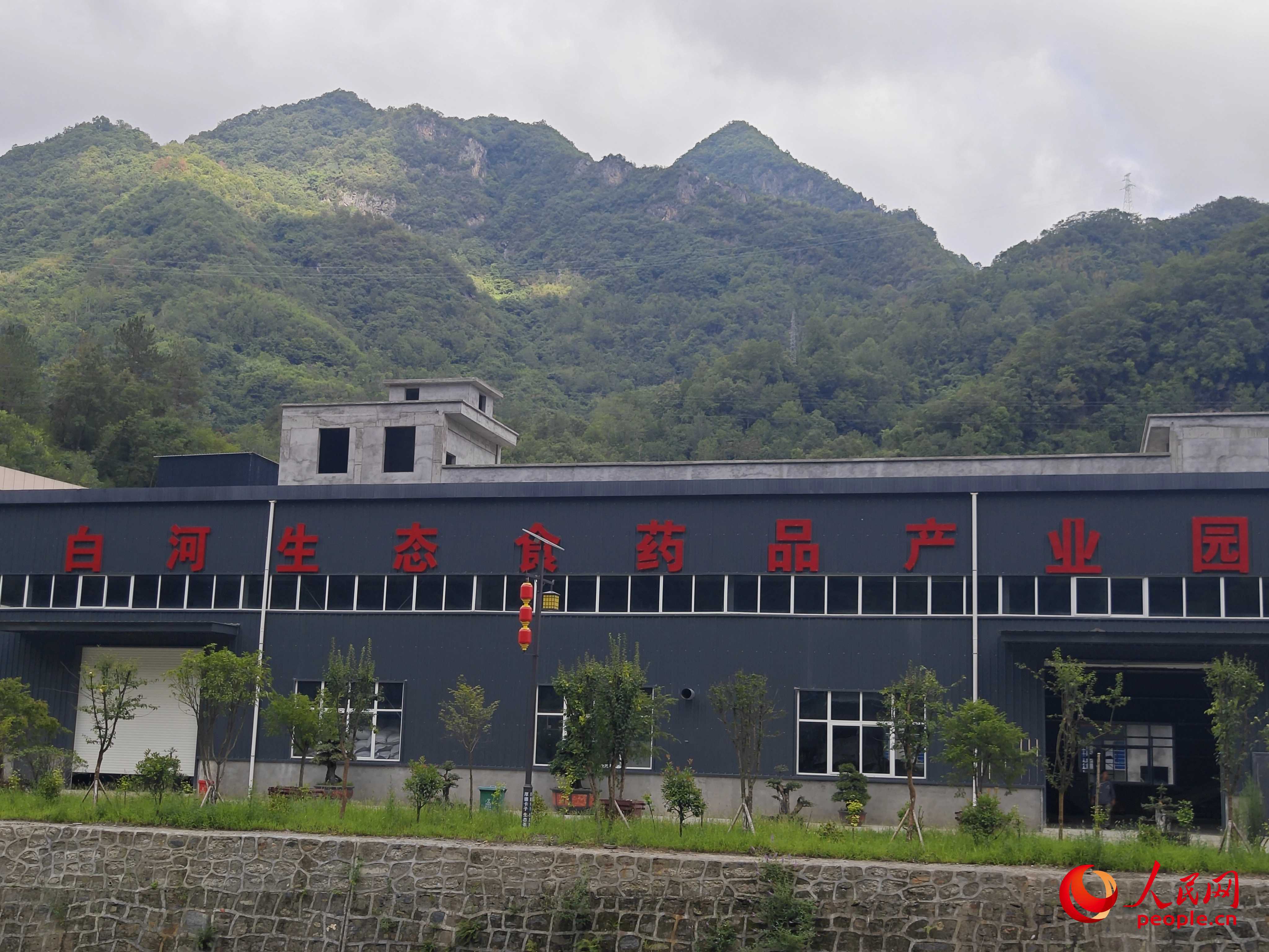 �������½����������������������� ������