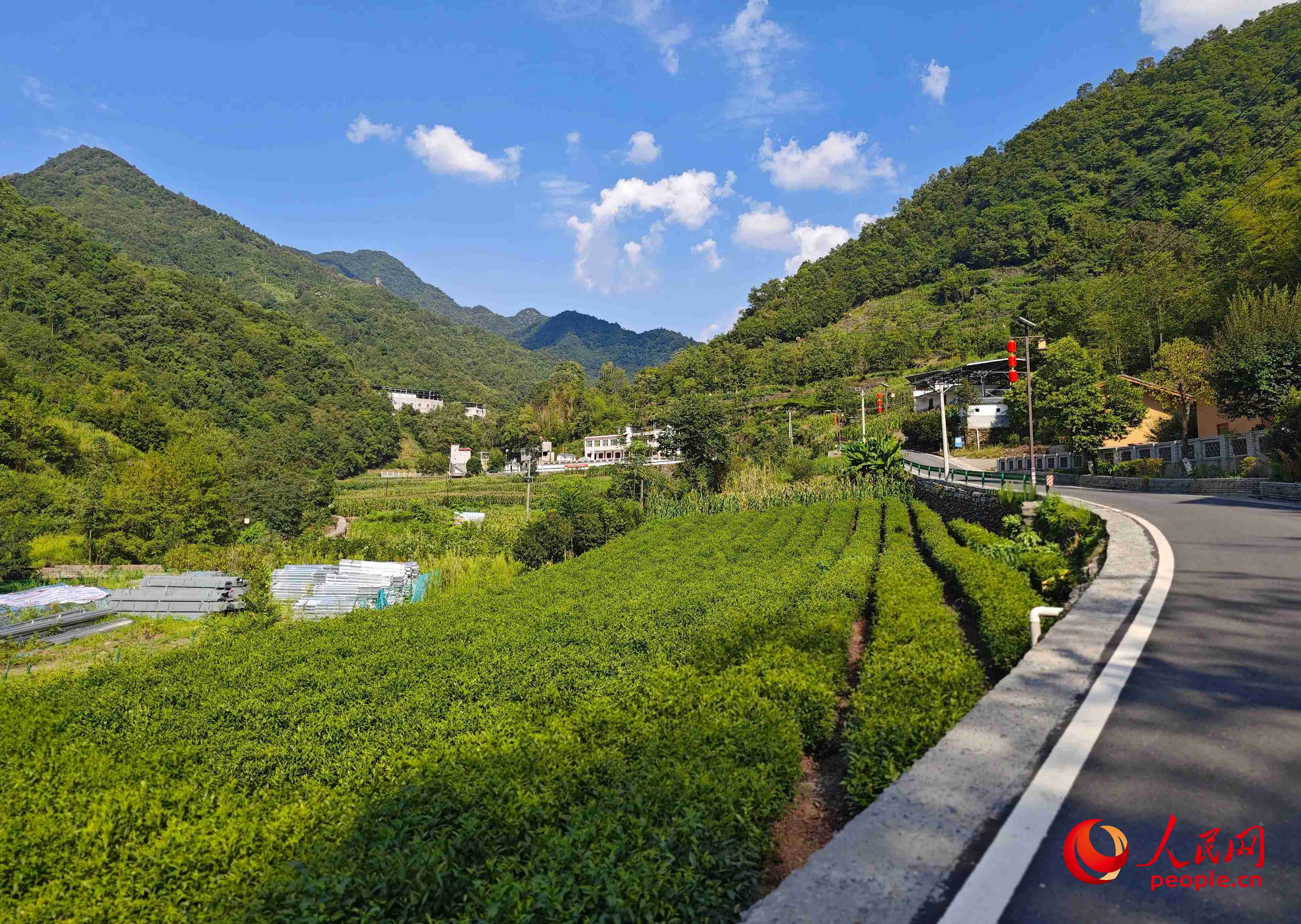 ��˹��Եķ�˴塣���������� ������