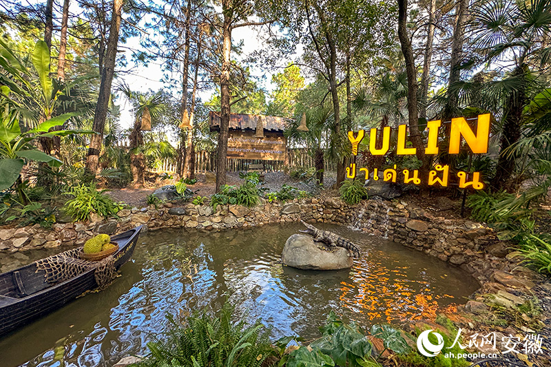 方寸间满满的“东南亚风情”。人民网记者 李希蒙摄