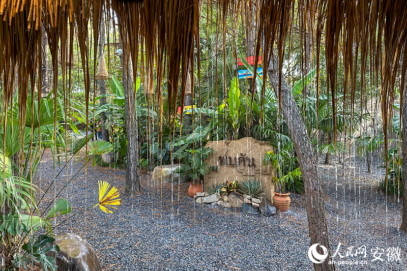 方寸间满满的“东南亚风情”。人民网记者 李希蒙摄