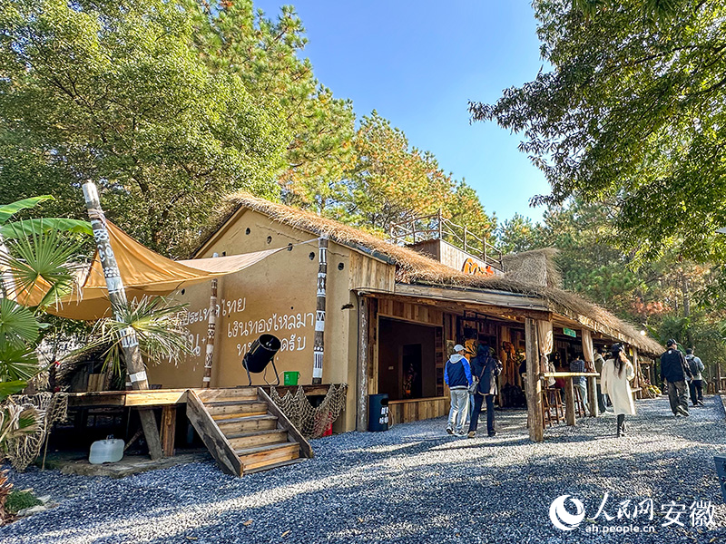 林间的“泰式”度假小屋。人民网记者 李希蒙摄