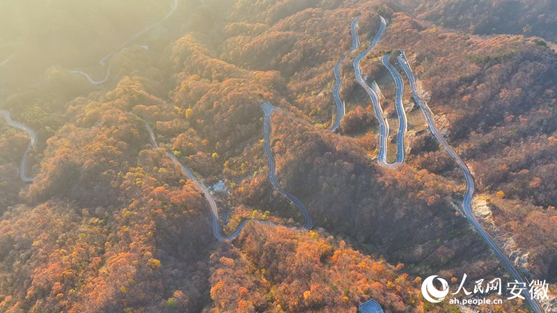 ���կ�غ��빫·�ﾰ�������� �����