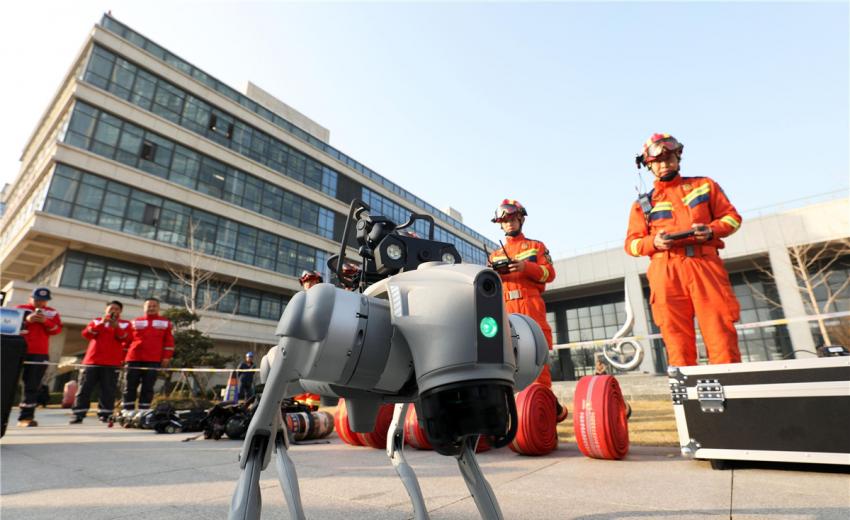 ������������