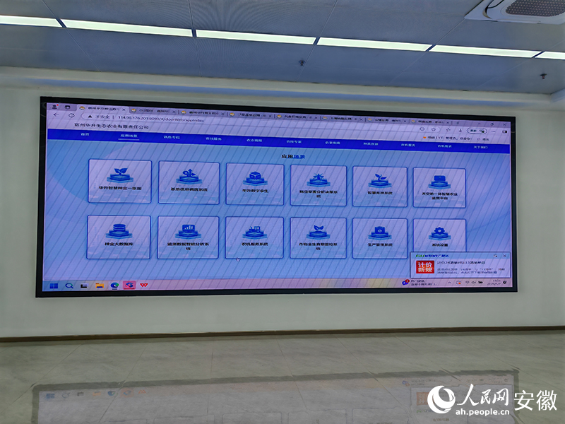 宿州华升种业数字化平台。人民网 丁纪摄