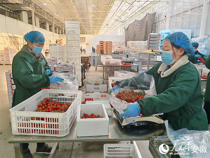 正在打包的工人。人民网 丁纪摄