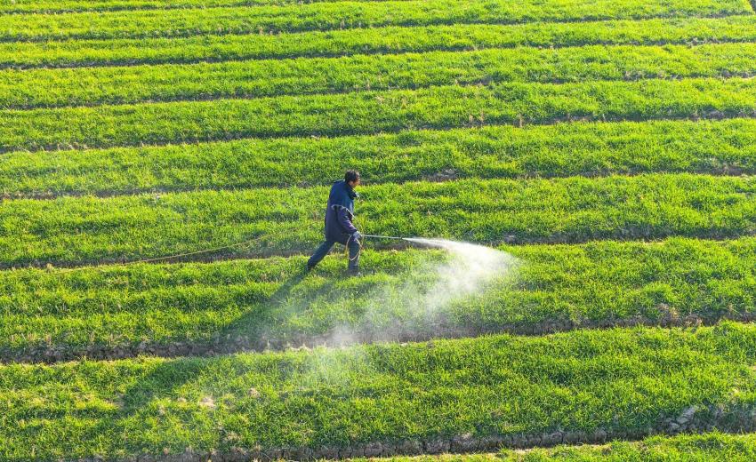 ����ũ����