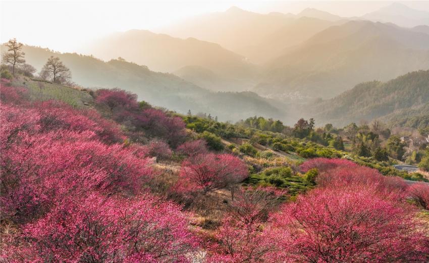 ÷������