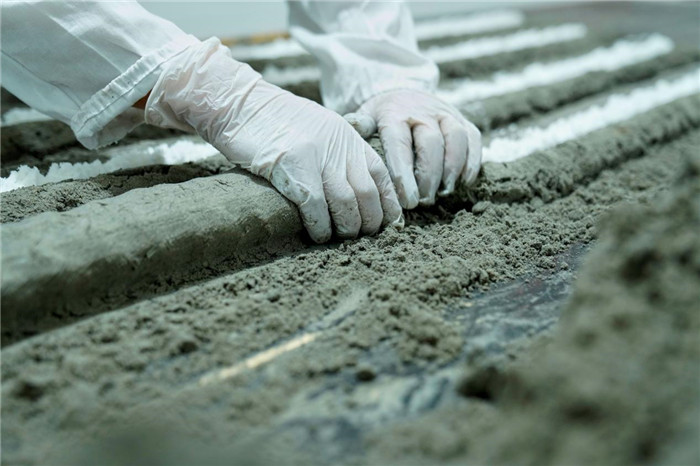 ʦ�������궯�����������������ǳ������塣