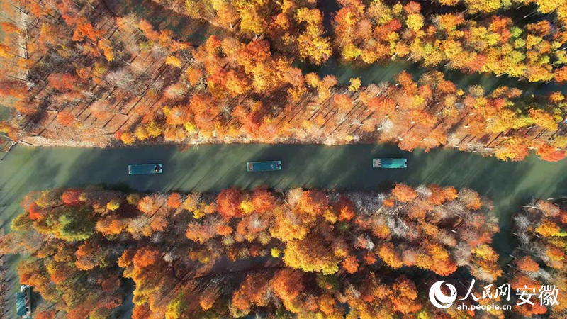 ���������ɼ�֡������� �����