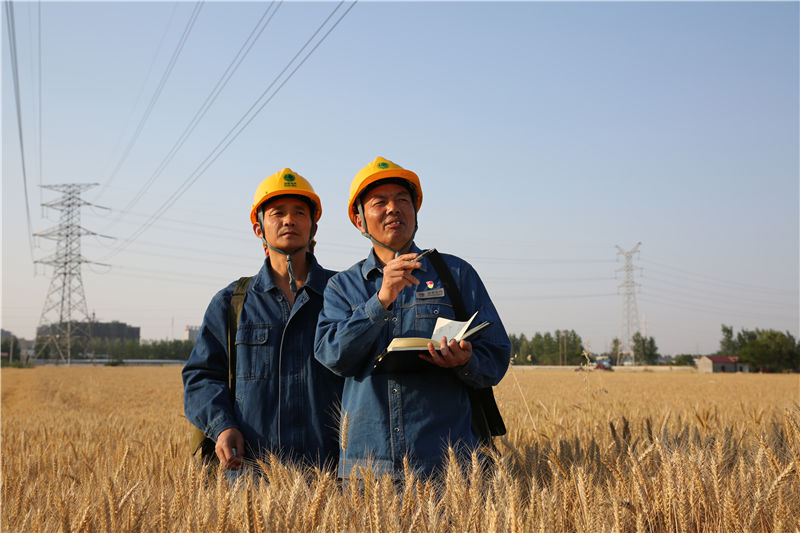 �������������ң�����ͽ����־�����ڵ����£���ͽ��Ŀ��Ѳ�ߡ����