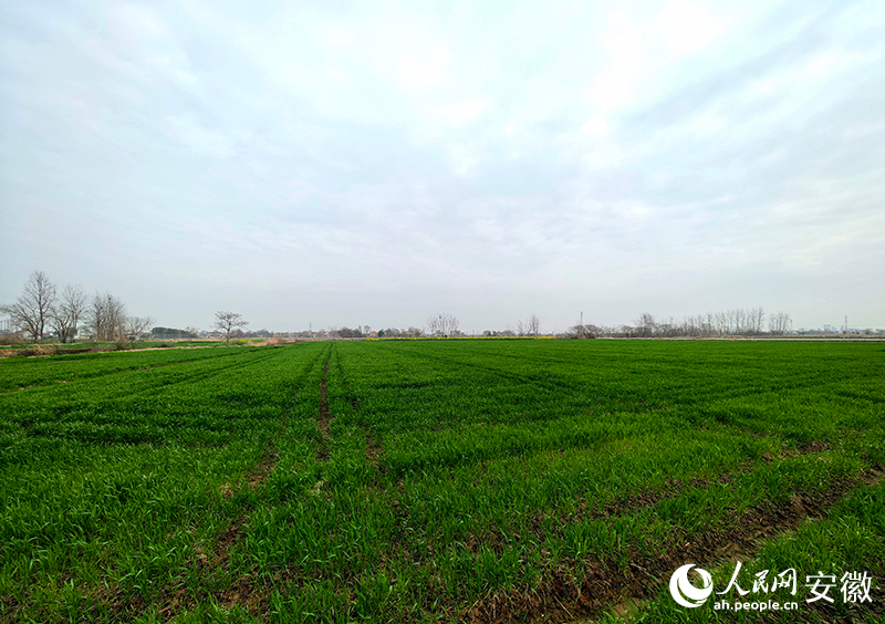 ������ȥ�����һ��������Ȼ������������ ������