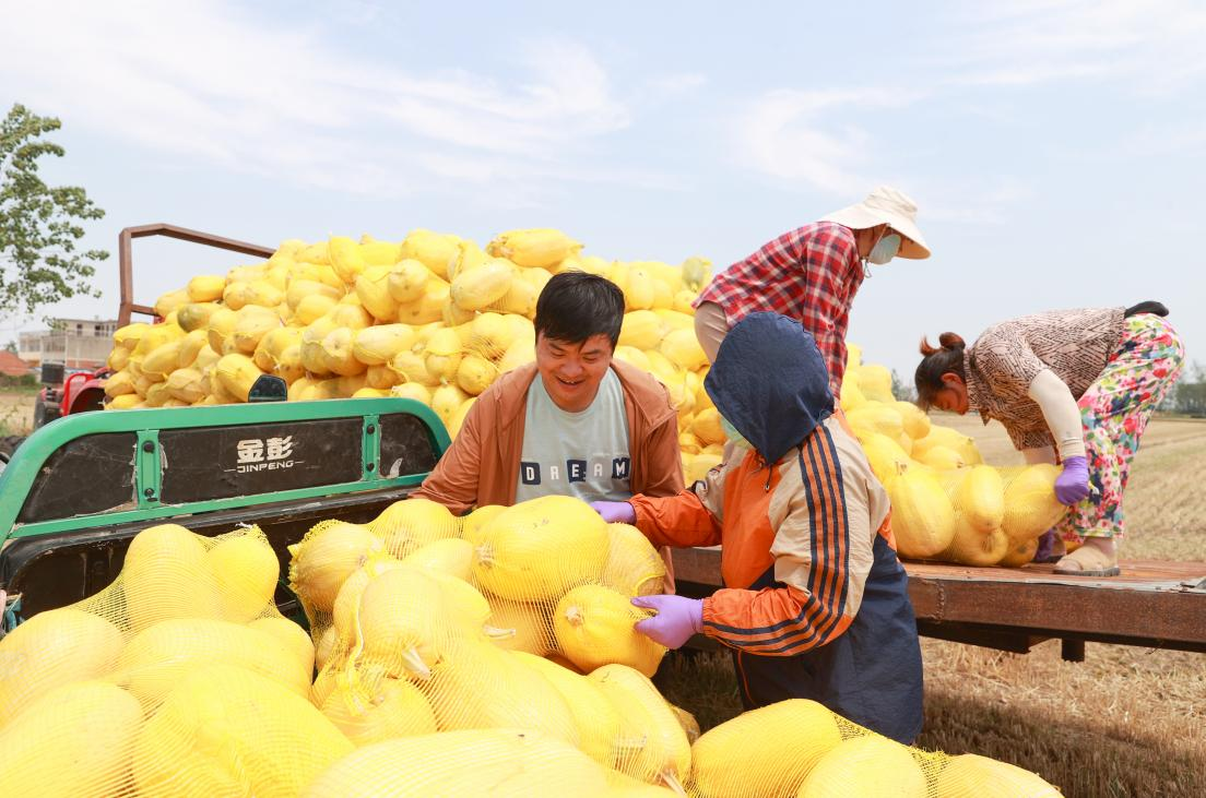 2025��6�£�����ʡ���������ع�ũӭ����˿�ʹϴ���ա�����Ԫ��