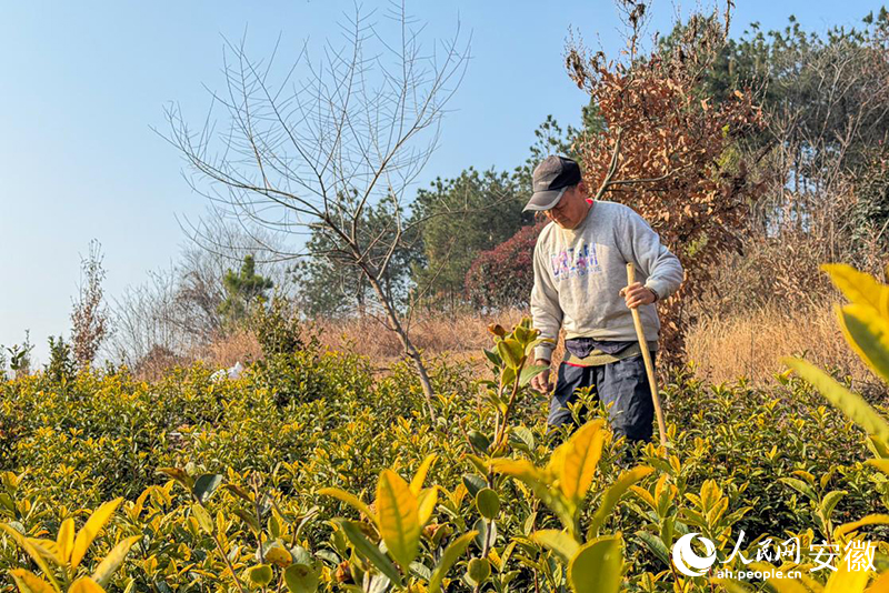 �׺��Ʋ鿴���Լҵ��Ͳ��������������� ��ϣ����