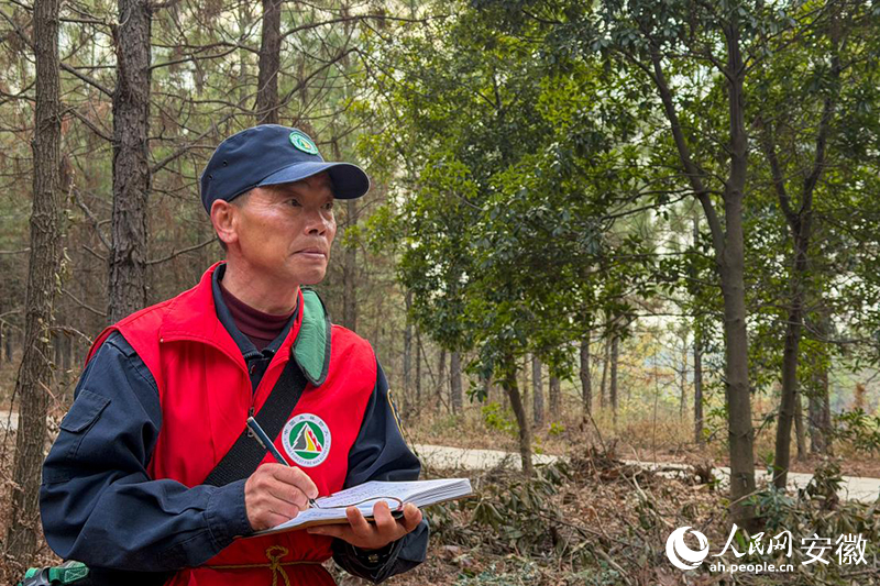 �������ڼ�¼�ּ�Ѳ���������������� ��ϣ����