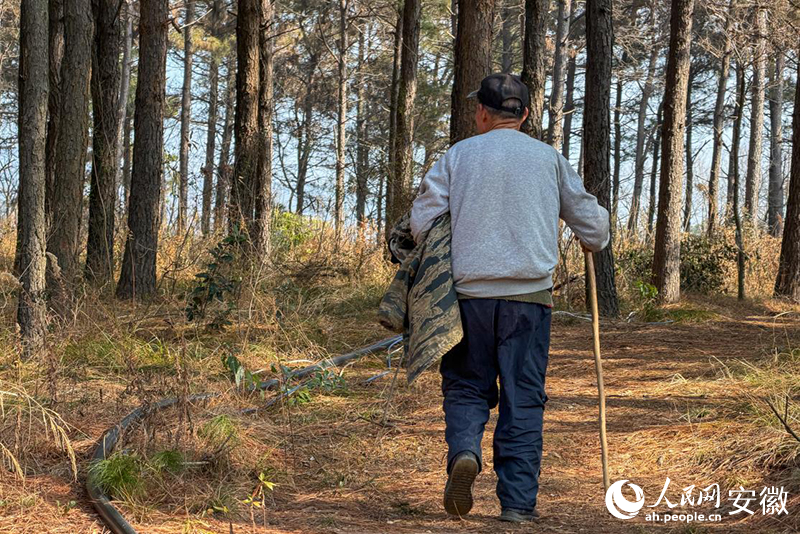 ���80����׺��ƣ����ǻ�ʱ����������ɽ������������ ��ϣ����