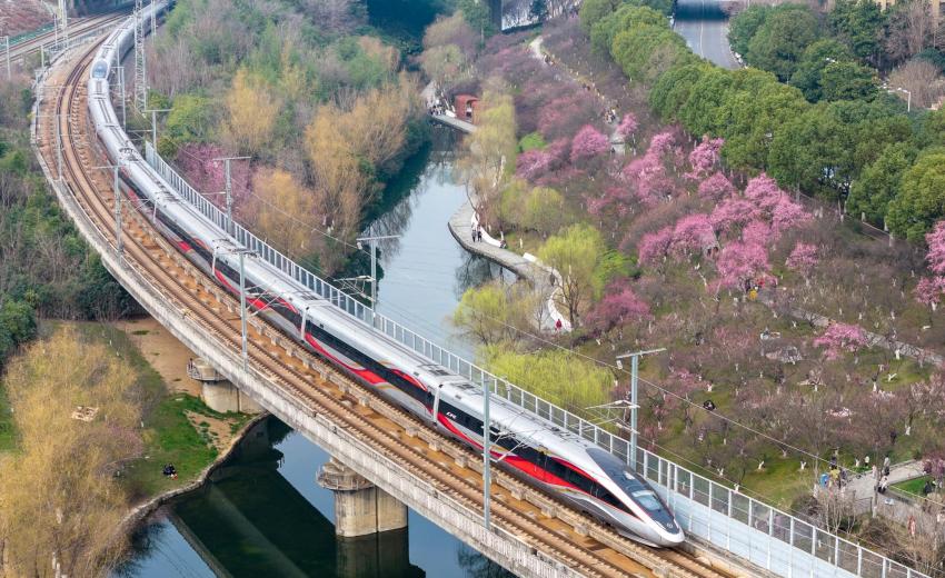 ��45����ա����彭�� ��������