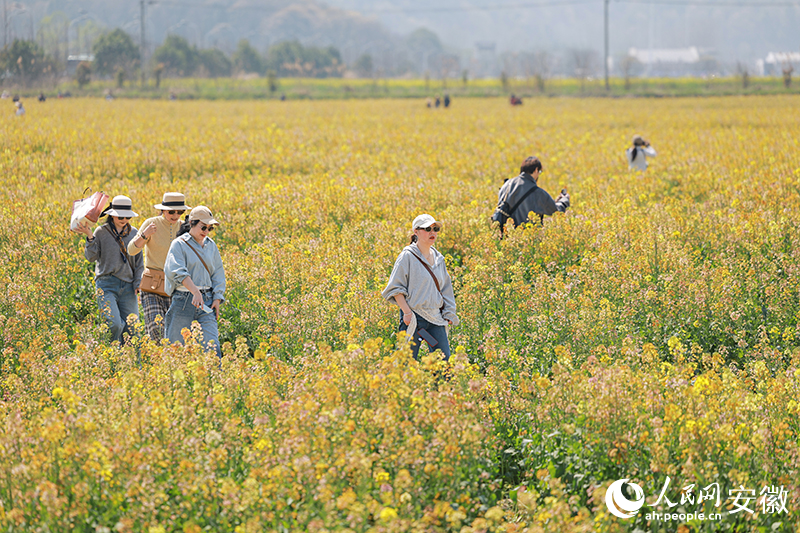 �ߺ���ˮ�����ο��ڲ�ɫ�Ͳ˻�������ͻ������������� ������