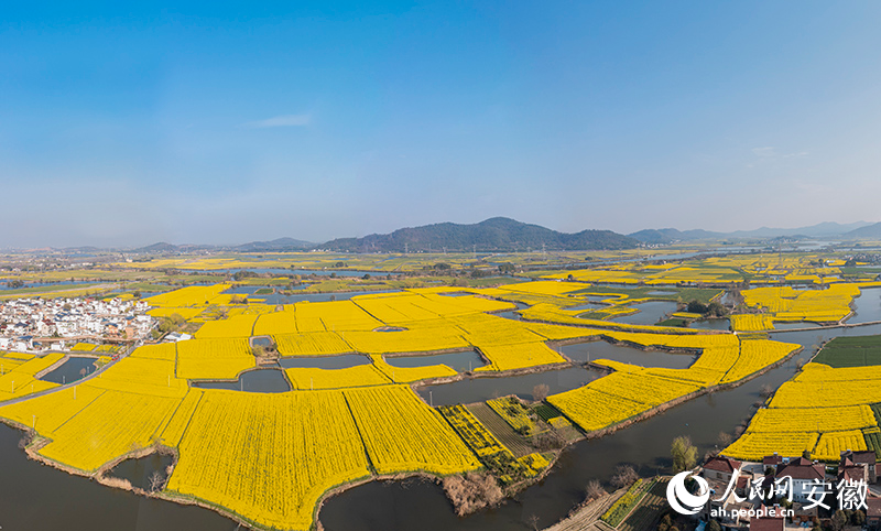 ����ߺ�߮������ˮ���Ͳ˻��������������� �ſ���