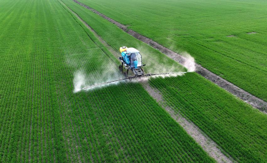 ���ﴺ��æ