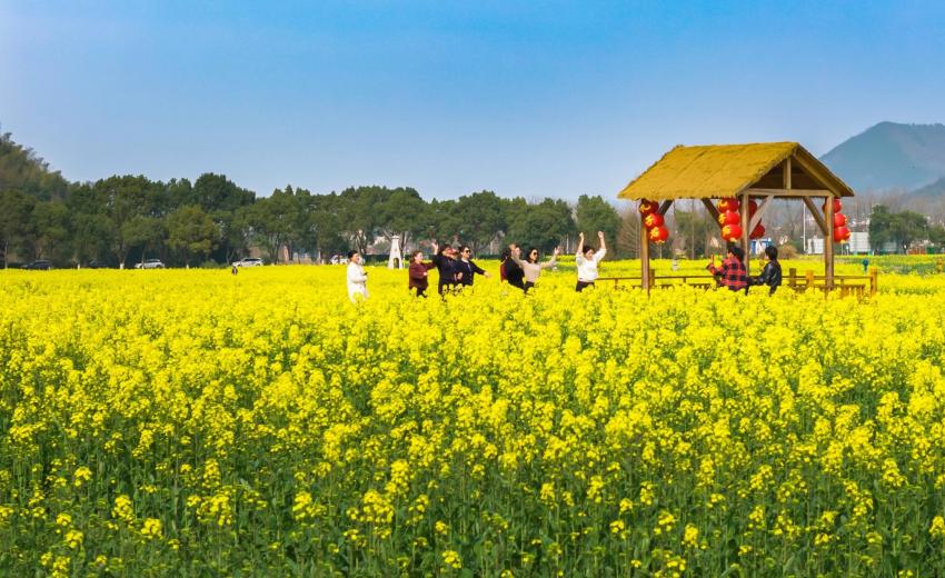 ��45����ա��������� ��������