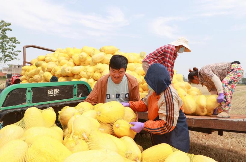 ��˿�ʹϷ���ͼ������Ԫ��