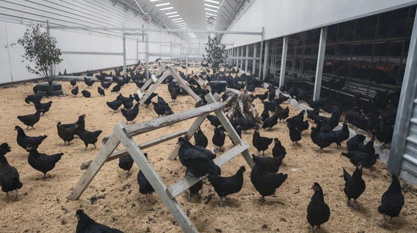 ����������ҵ�ɷ����޹�˾��ֳ���ء�����Ԫ��