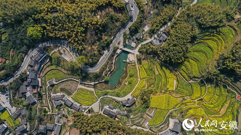 ���������ɽ����Ͳ˻��������������� �ſ���